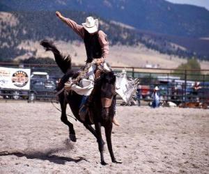 yapboz Rodeo - Rider eyer bronc rekabete, vahşi bir binicilik